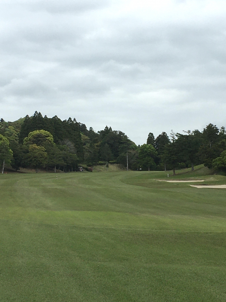 錦糸町TeeアンドGOLF_1