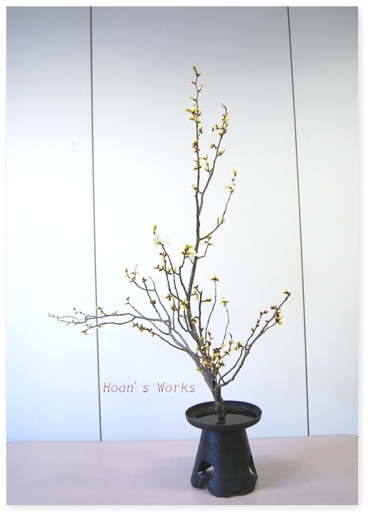 欲張りお花教室「Hoan's Works」