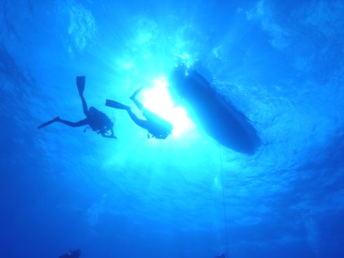 ダイビングショップ　アリエス_4