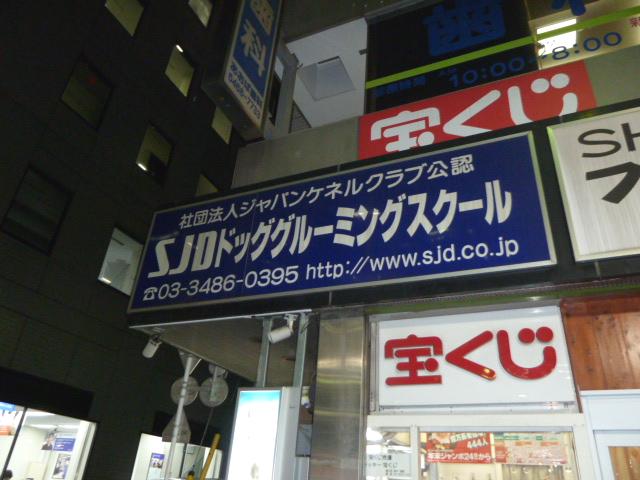 ＳＪＤドッググルーミングスクール