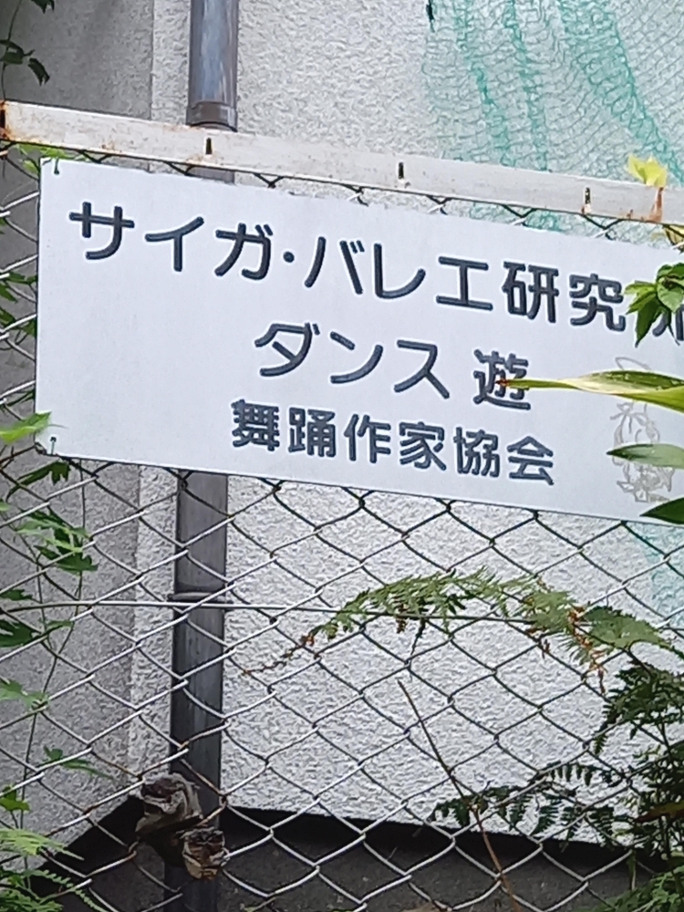 サイガ・バレエ研究所_1