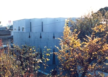 スタジオ・キャロル