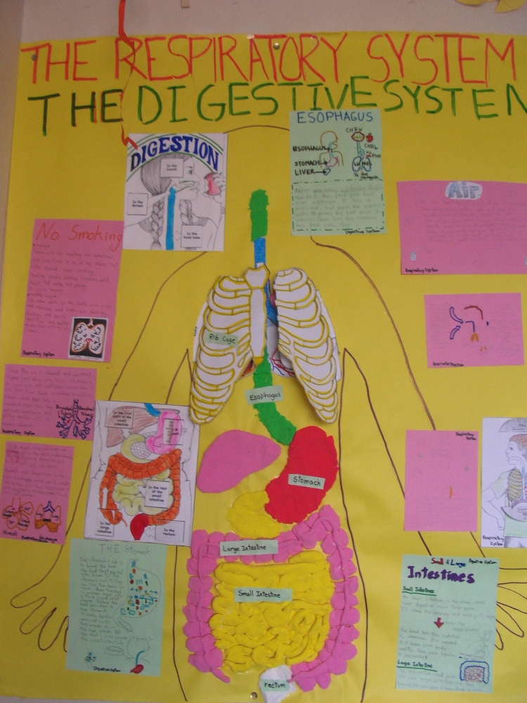 イングリッシュスタジオ/English Studio_2