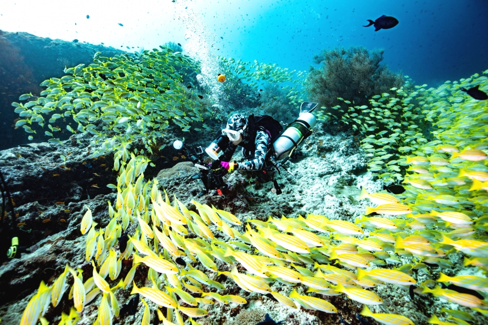 アーチアンドスターズ_23