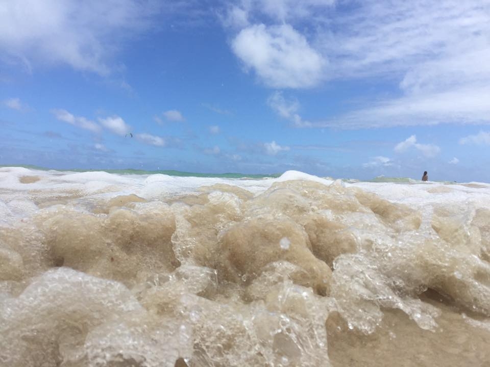 ダイビングショップ・セブンシーズ世田谷本店_3