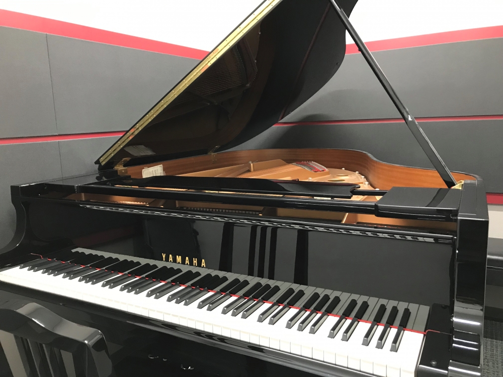 スガナミ楽器桜ヶ丘センター_2