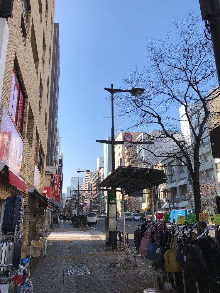 江戸東京の易矢吹太一龍_2