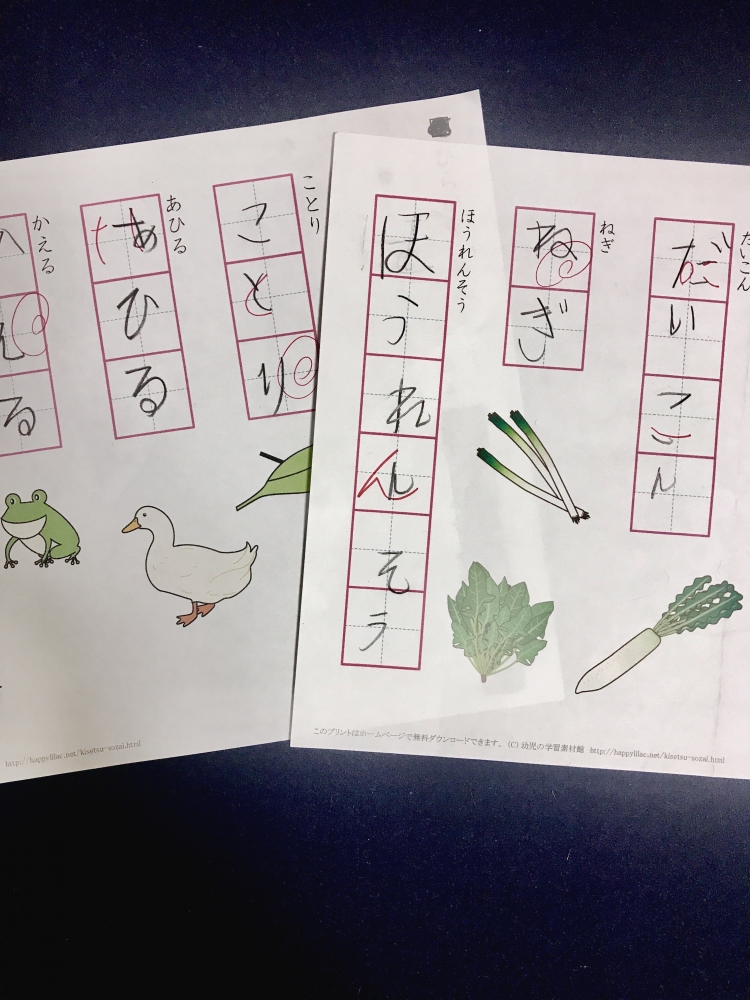 こども硬筆 kayocalli  _2