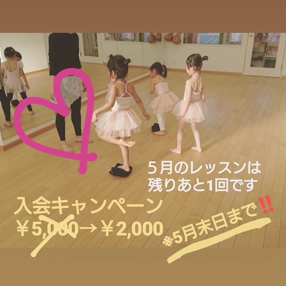 Ballet du Tutu Vert(バレエ・ドゥ・チュチュヴェール)_3