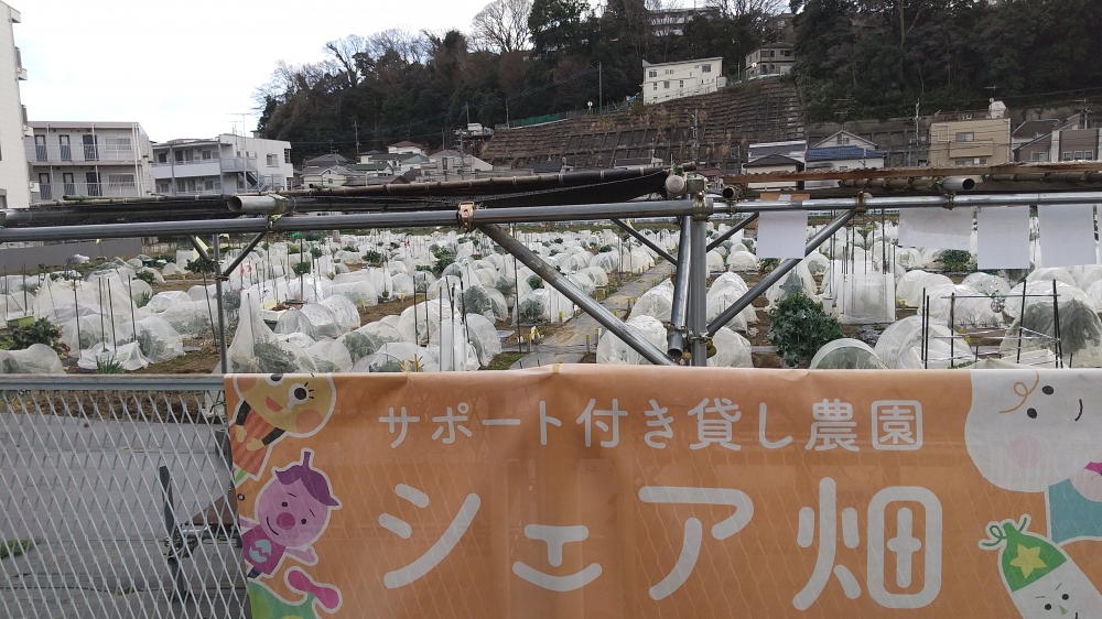シェア畑 仙川 伊藤農園