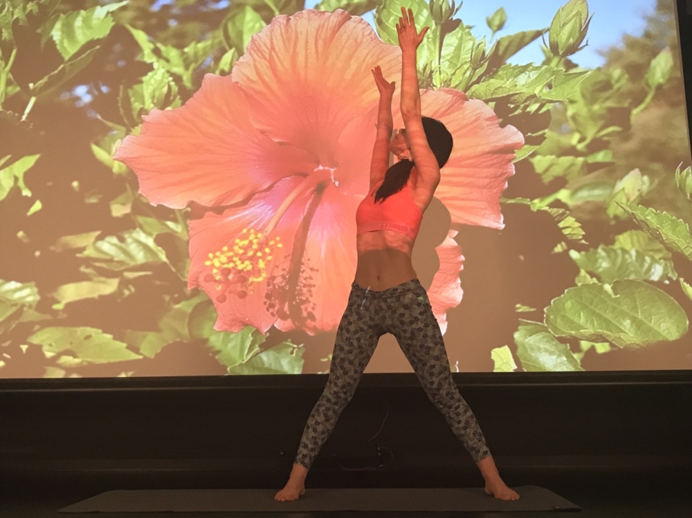 YOGA-yju stage-