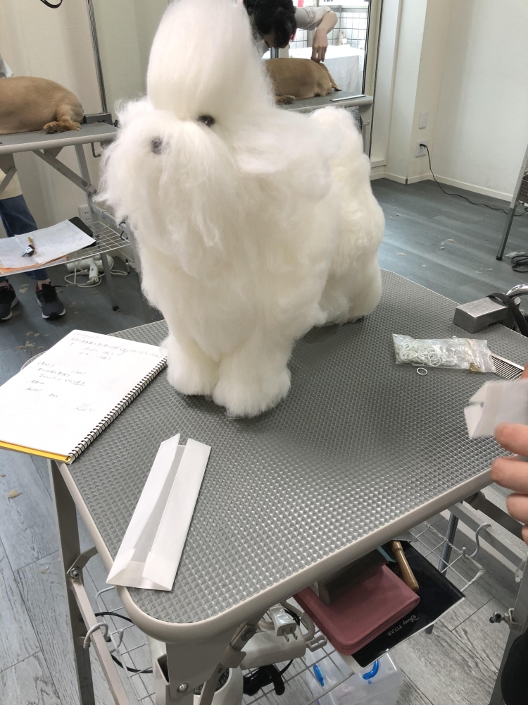 東京ペットビジネススクール_1