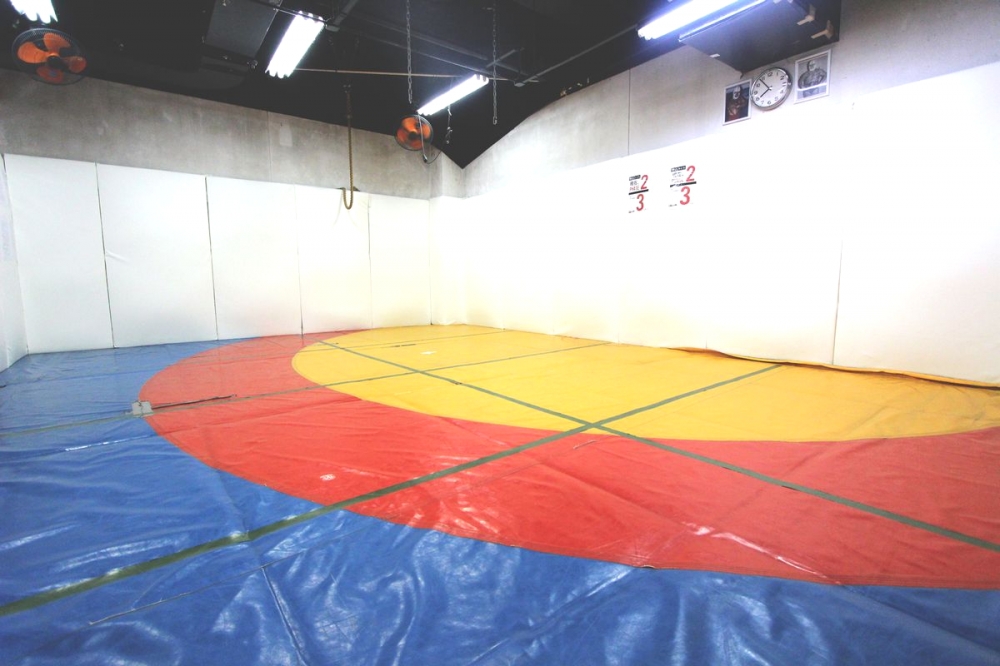 フィギュアフォークラブ