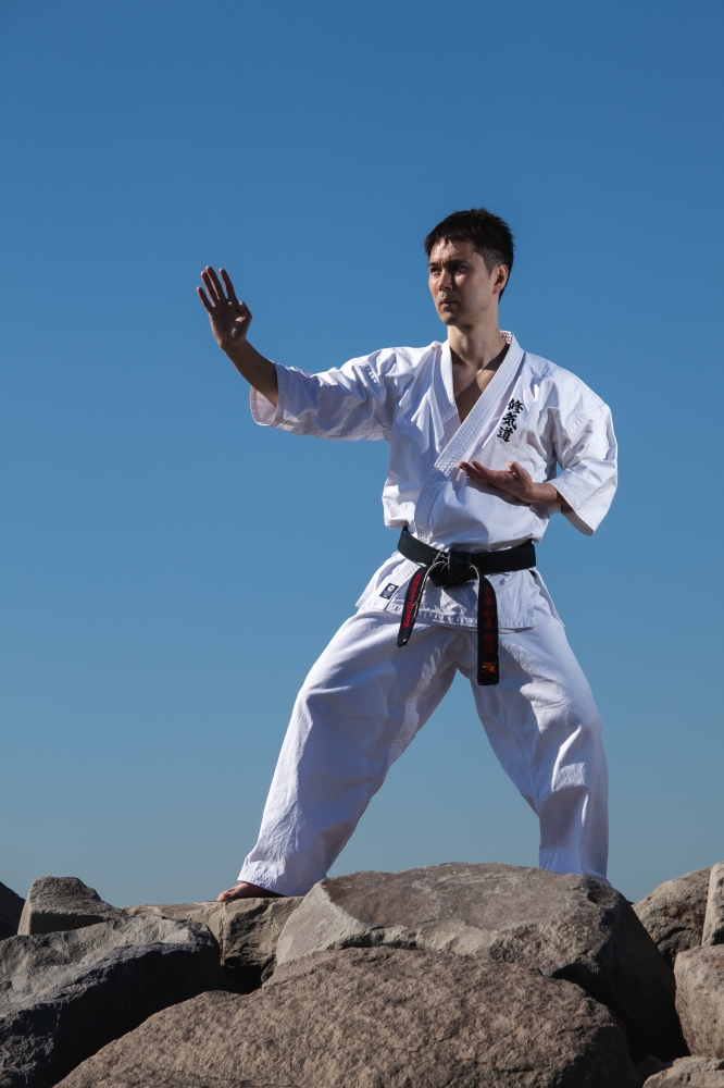 武術空手修気道