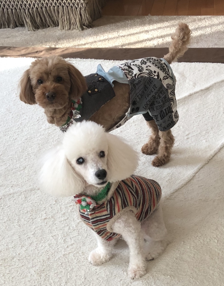 絵布包楽（ENUBOULLA）＆さんぽみち　美術押絵と日本画教室工房　_9