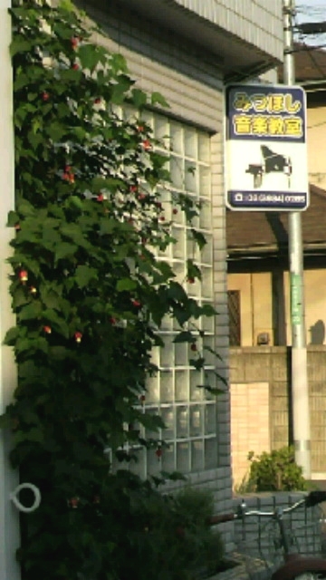 みつほし音楽教室