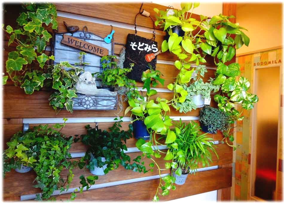 ウクレレ教室・そどみら_4