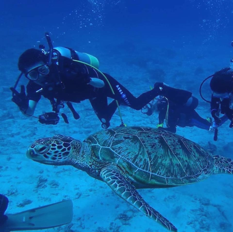 ダイビング教室 ライトハウス町田_1