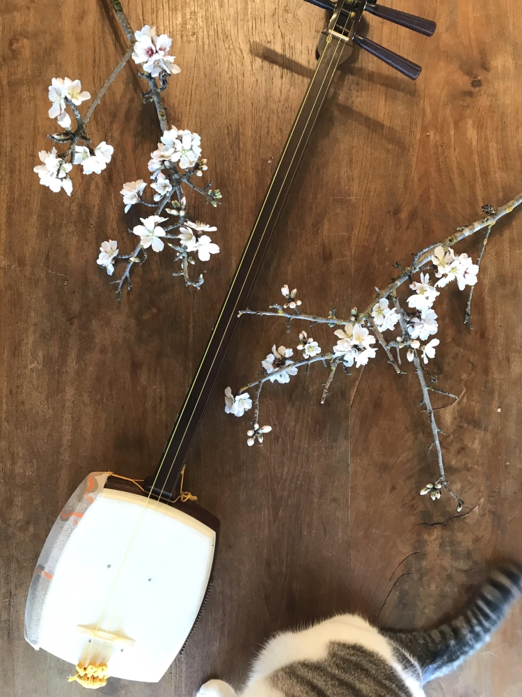 秋華会 民謡唄、三味線教室