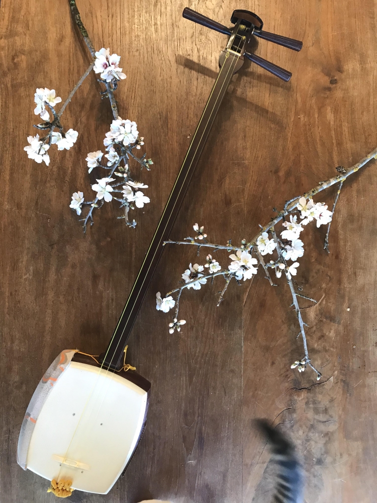 秋華会 阿波三味線教室（阿波踊り）