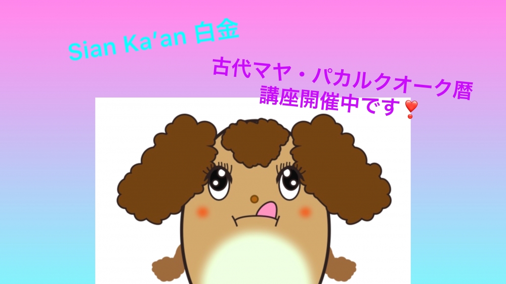 古代マヤ暦占いサロン Sian Ka'an (シアン・カアン ) 白金　_6