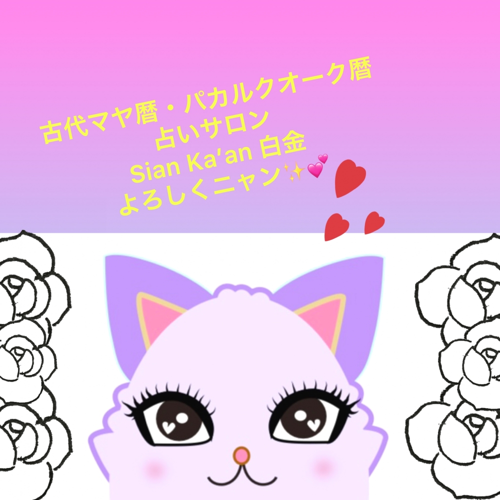 古代マヤ暦占いサロン Sian Ka'an (シアン・カアン ) 白金　_7