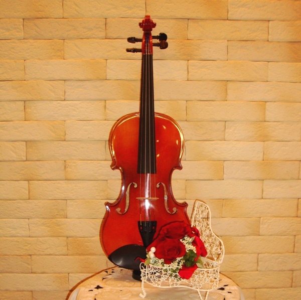 音楽教室 スタジオ・ヴィオリーノ 都立大学教室_4