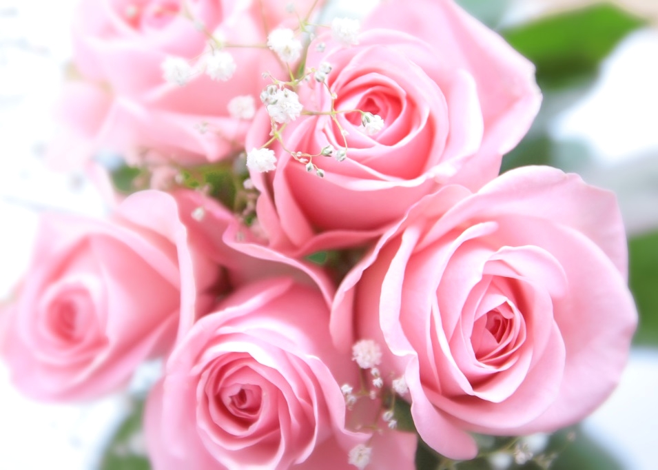 音楽教室 スタジオ・ヴィオリーノ 都立大学教室_3