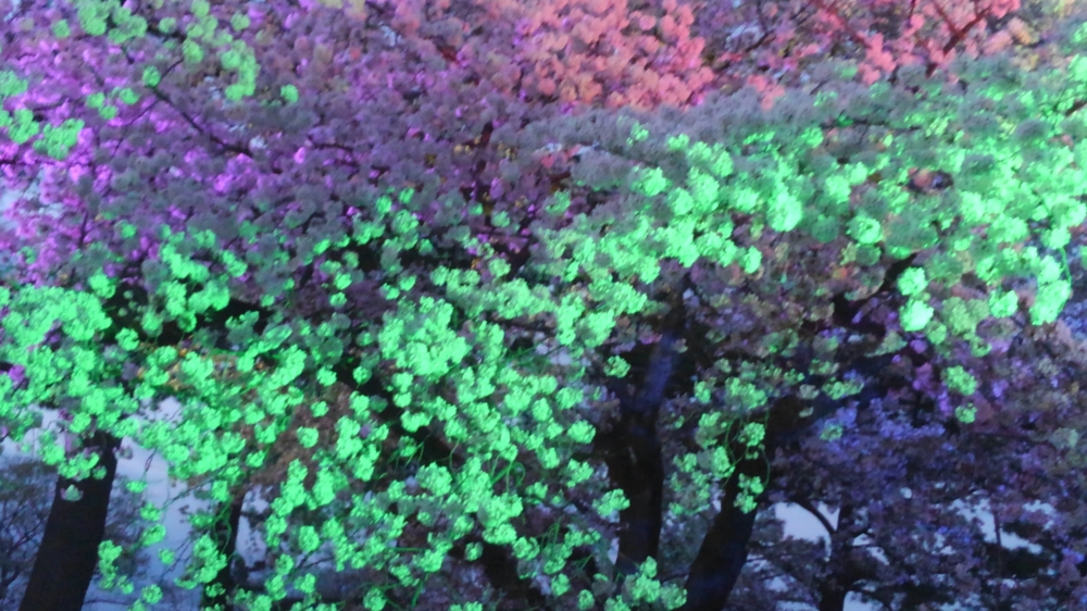 ＥＣＣジュニア芦子教室_2