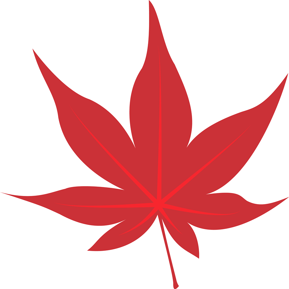 Maple International英語学校_1