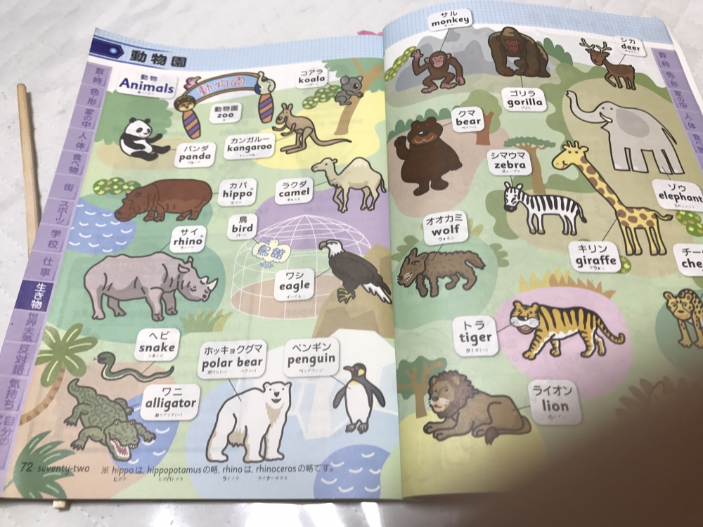 kids英語教室  さち_3