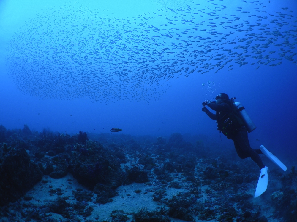 ブルーポイントダイビングスクール_3