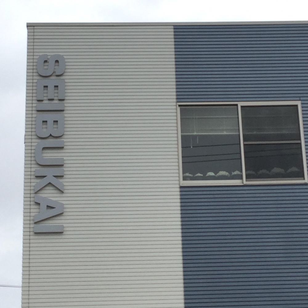 極真空手清武会