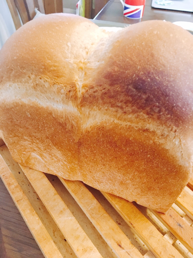 湘南のパンとケーキの教室 Merry Brown