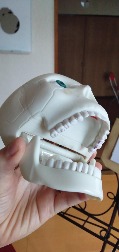 ＳＳボーカル教室_2