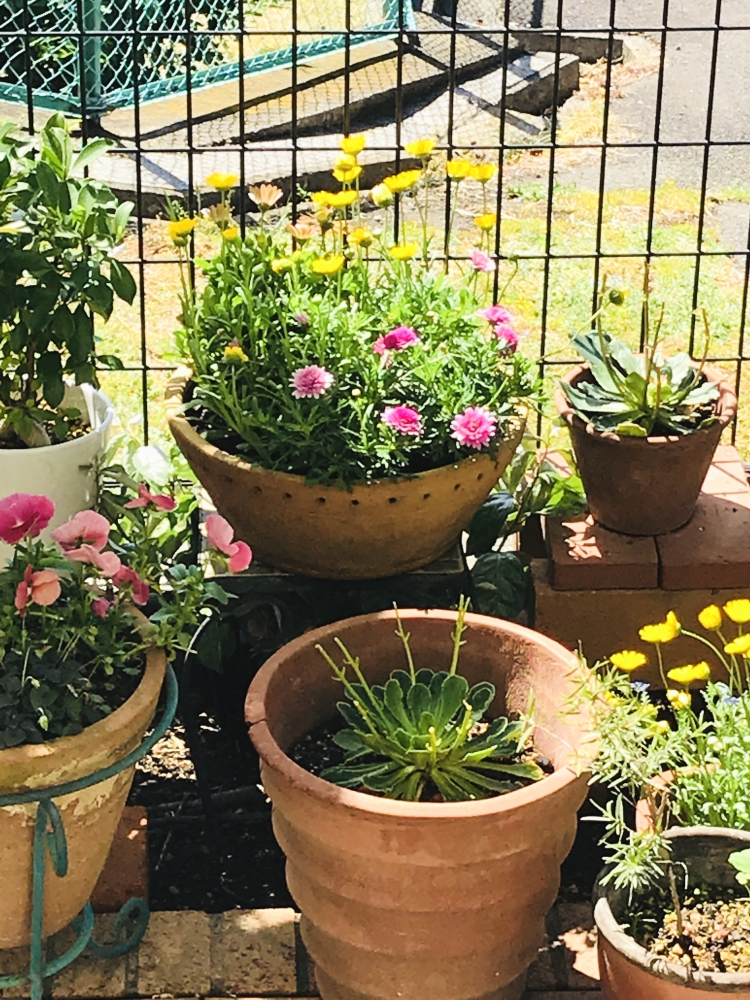 ECCジュニア谷本小学校前教室