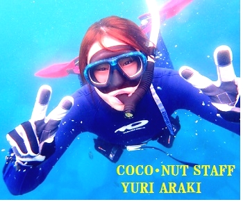 ダイビングスクール　ココナッツ横浜店_1