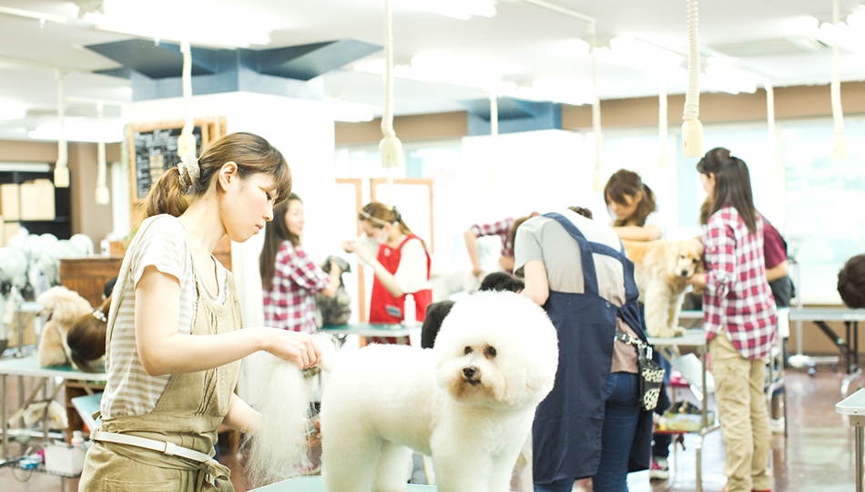 青山ケンネルスクール横浜校_1