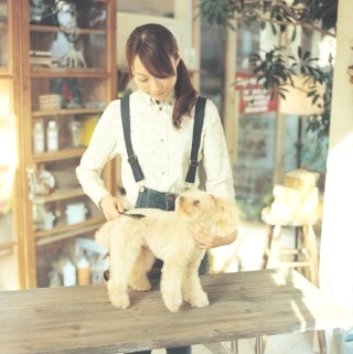 青山ケンネルスクール横浜校_3