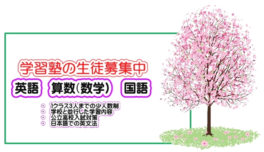 ドナ英会話学習塾