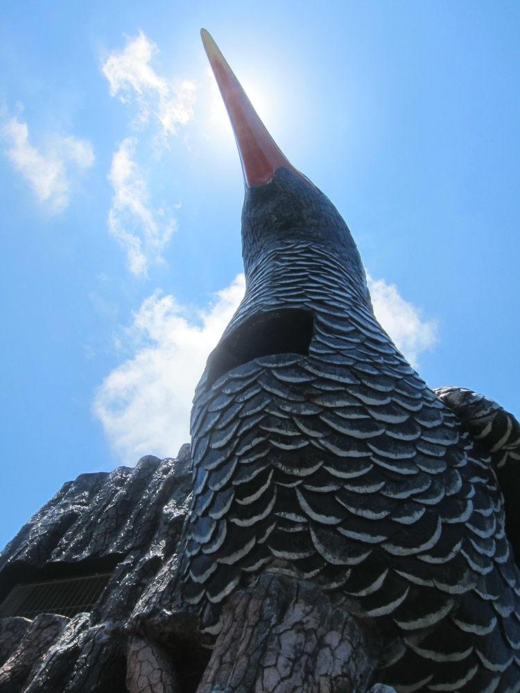 Diving Shop SEVEN7_191