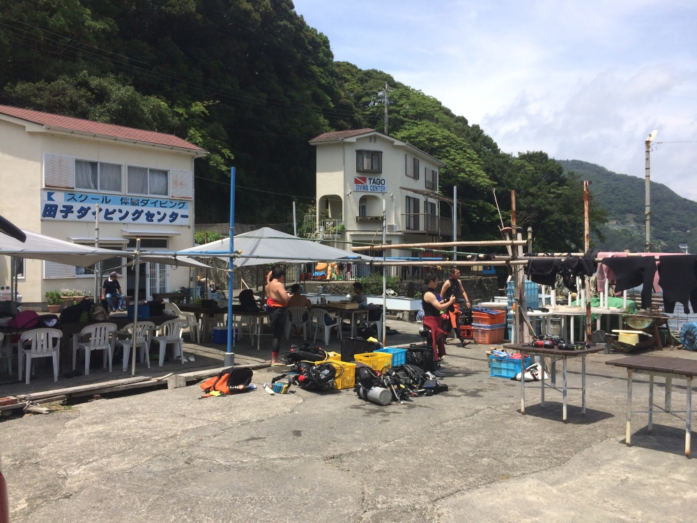 Diving Shop SEVEN7_184