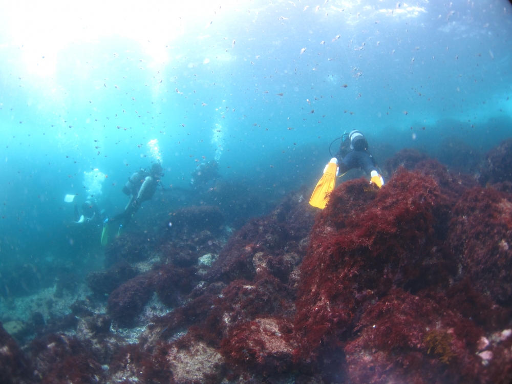 Diving Shop SEVEN7_177