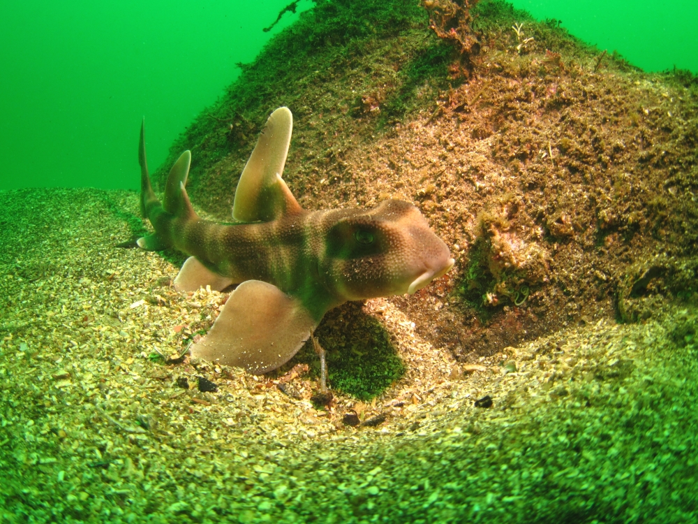 Diving Shop SEVEN7_168