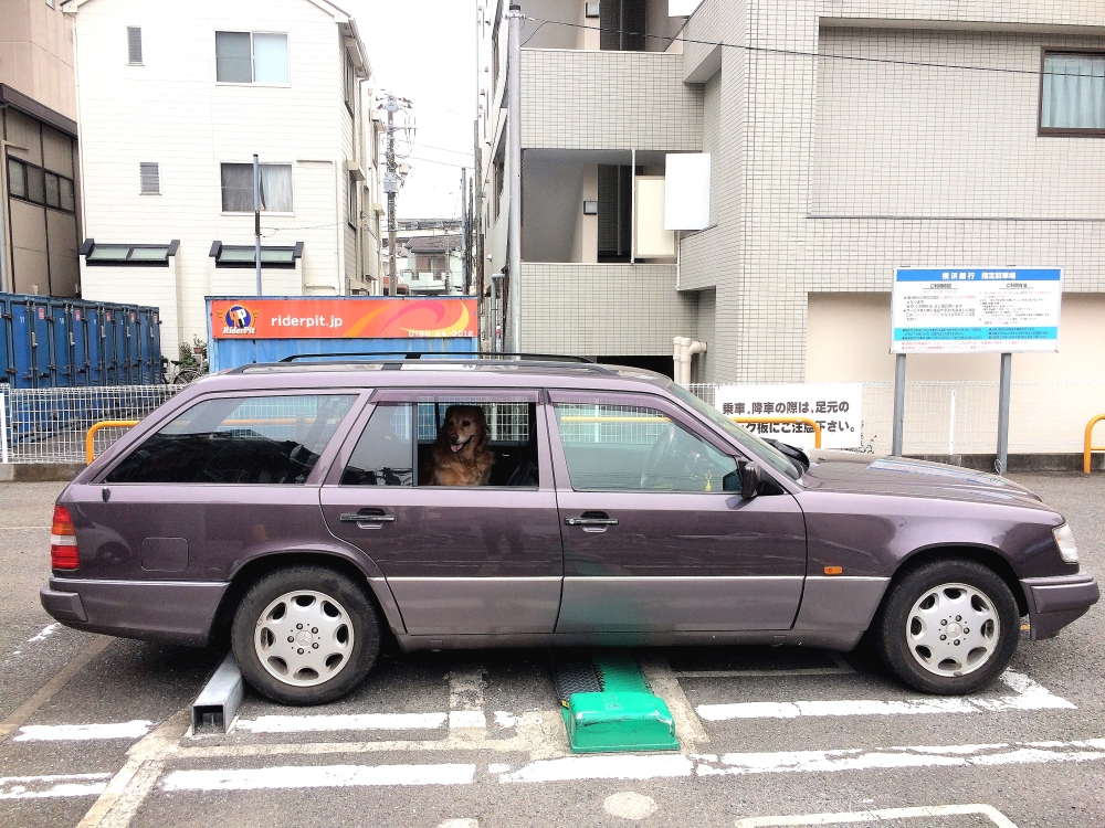 Diving Shop SEVEN7_161