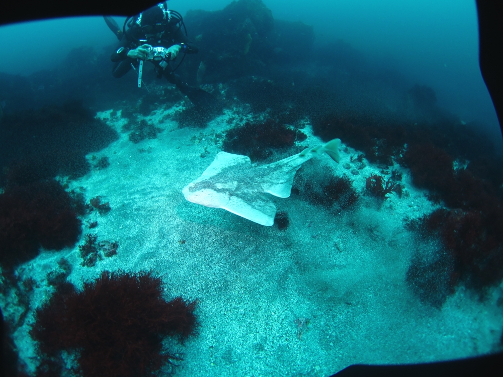 Diving Shop SEVEN7_153