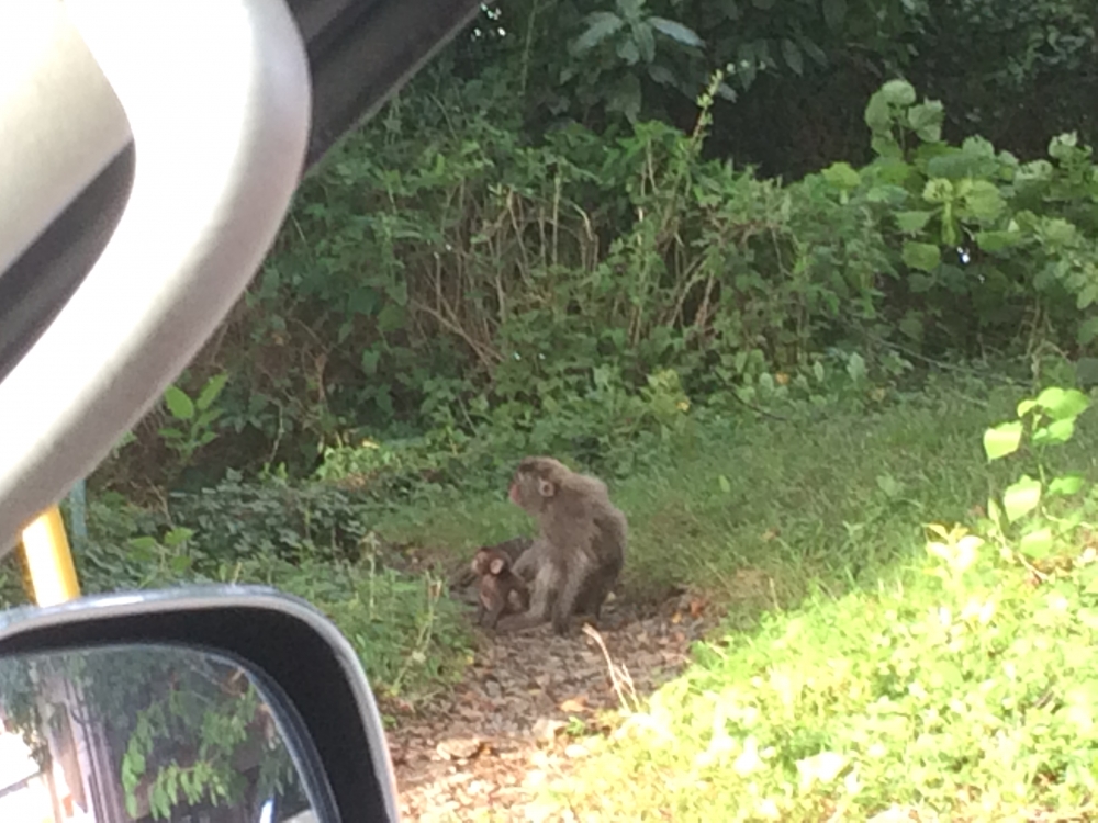 Diving Shop SEVEN7_150