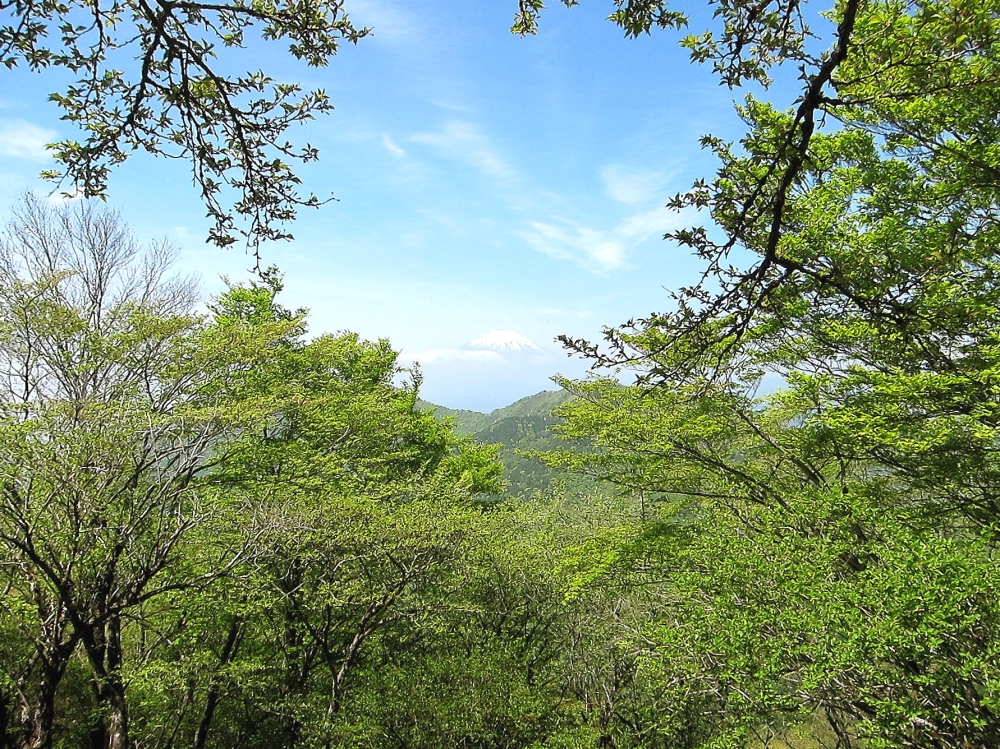 Diving Shop SEVEN7_120