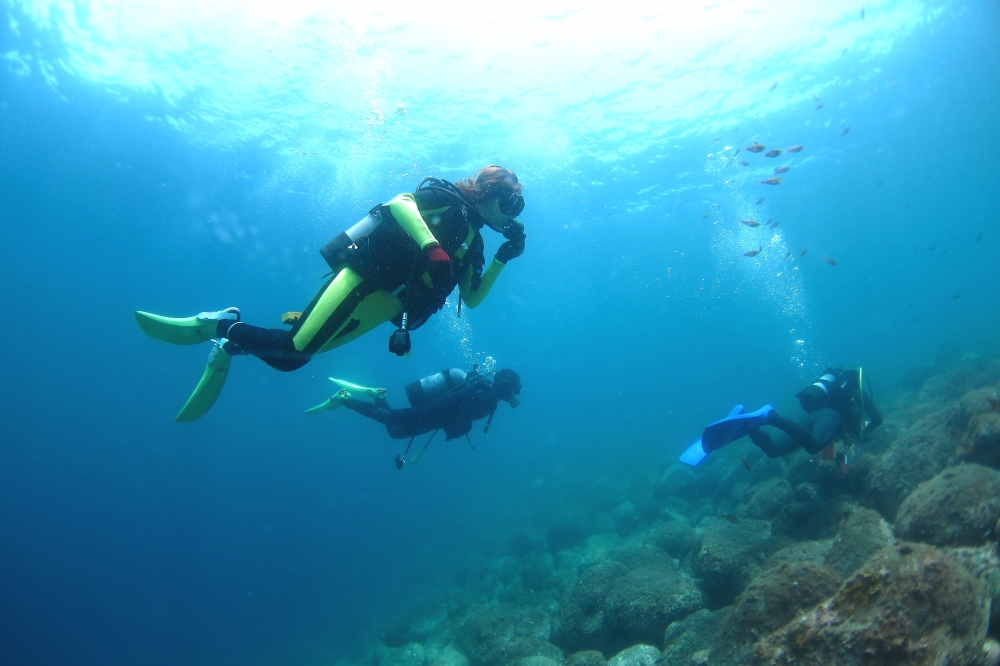 Diving Shop SEVEN7_114