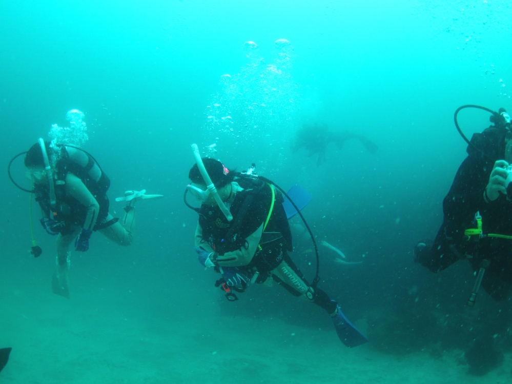 Diving Shop SEVEN7_110